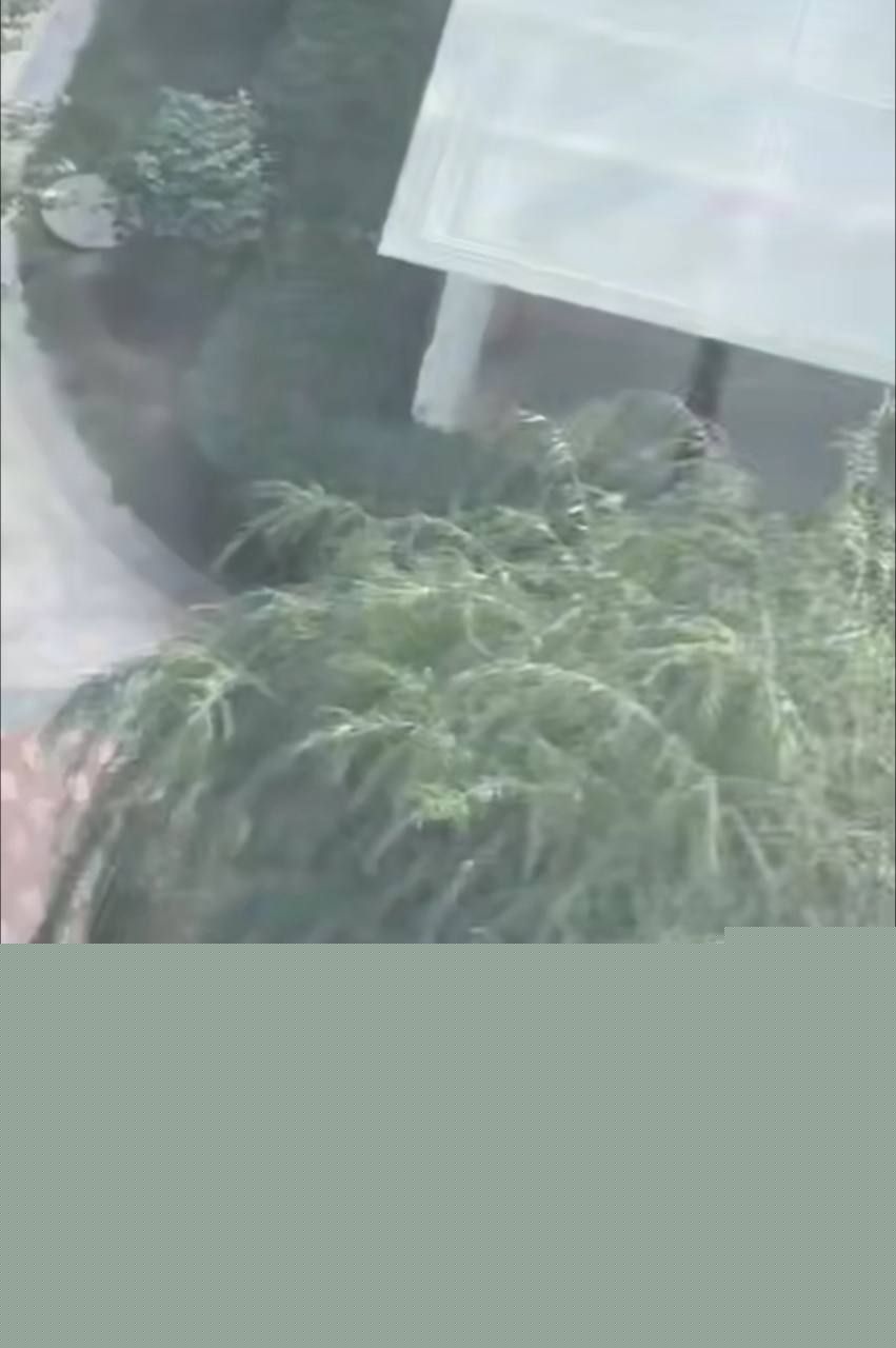 捉奸现场2 捉奸现场2