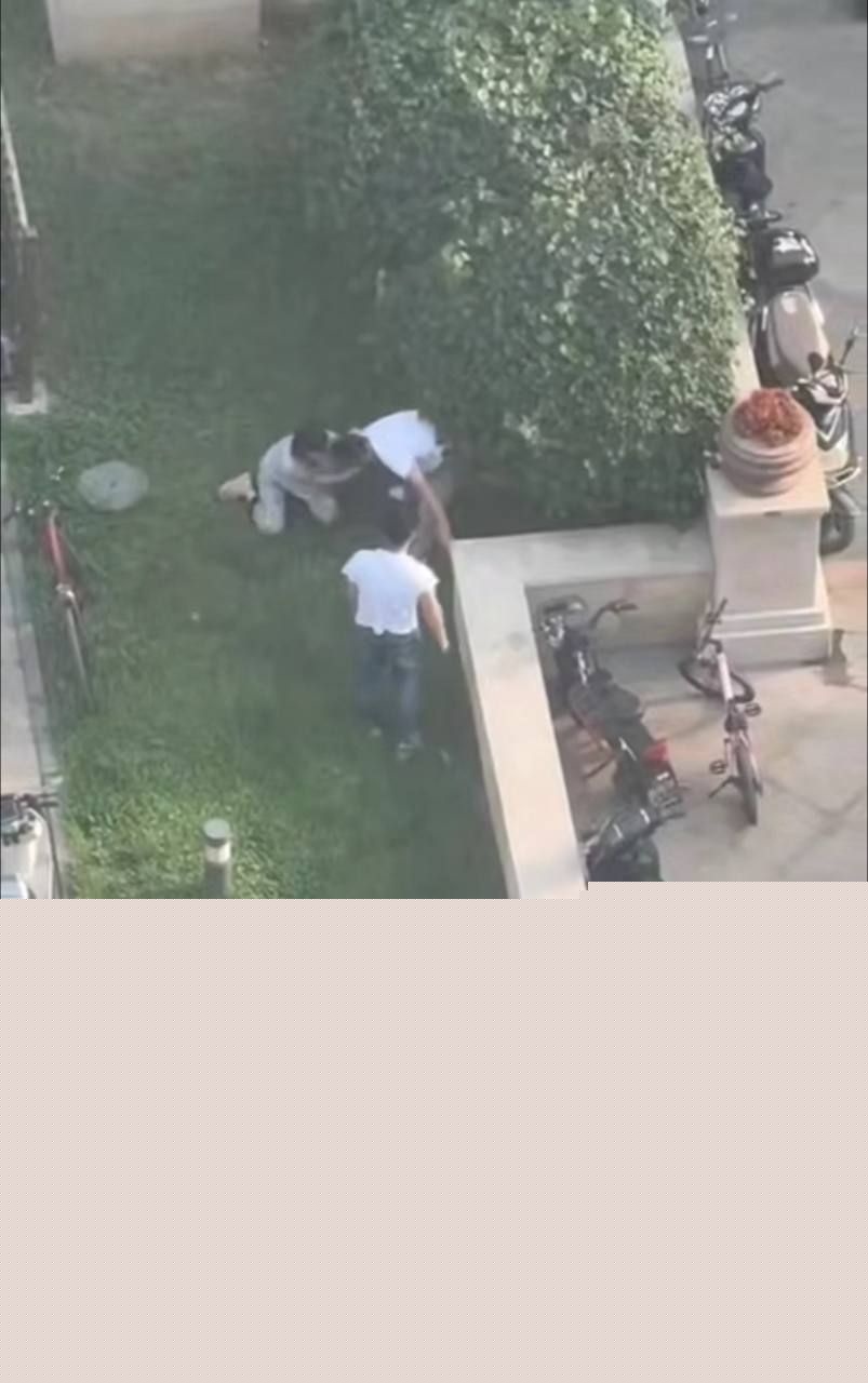 捉奸现场6 捉奸现场6