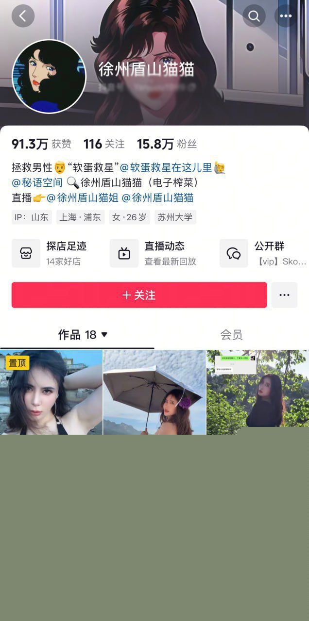 抖音网红徐州盾山猫猫1