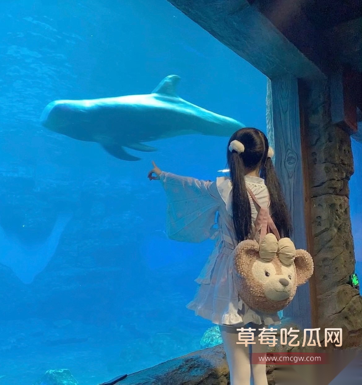 高颜超可爱少萝小月喵 25