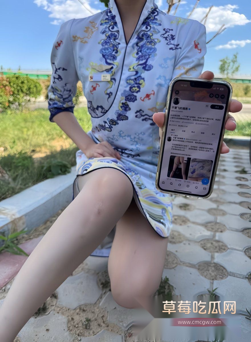 性感空姐 不爱飞的海燕7