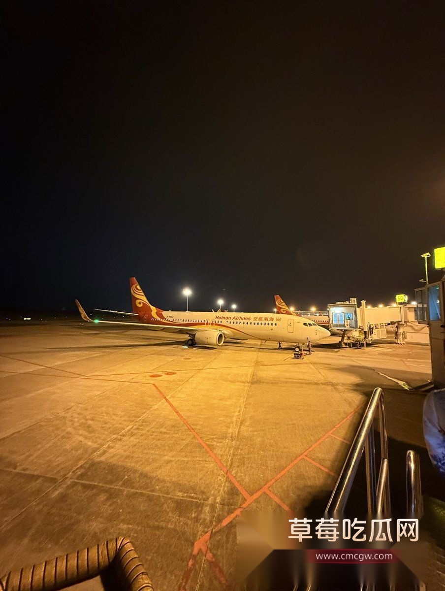 性感空姐 不爱飞的海燕14