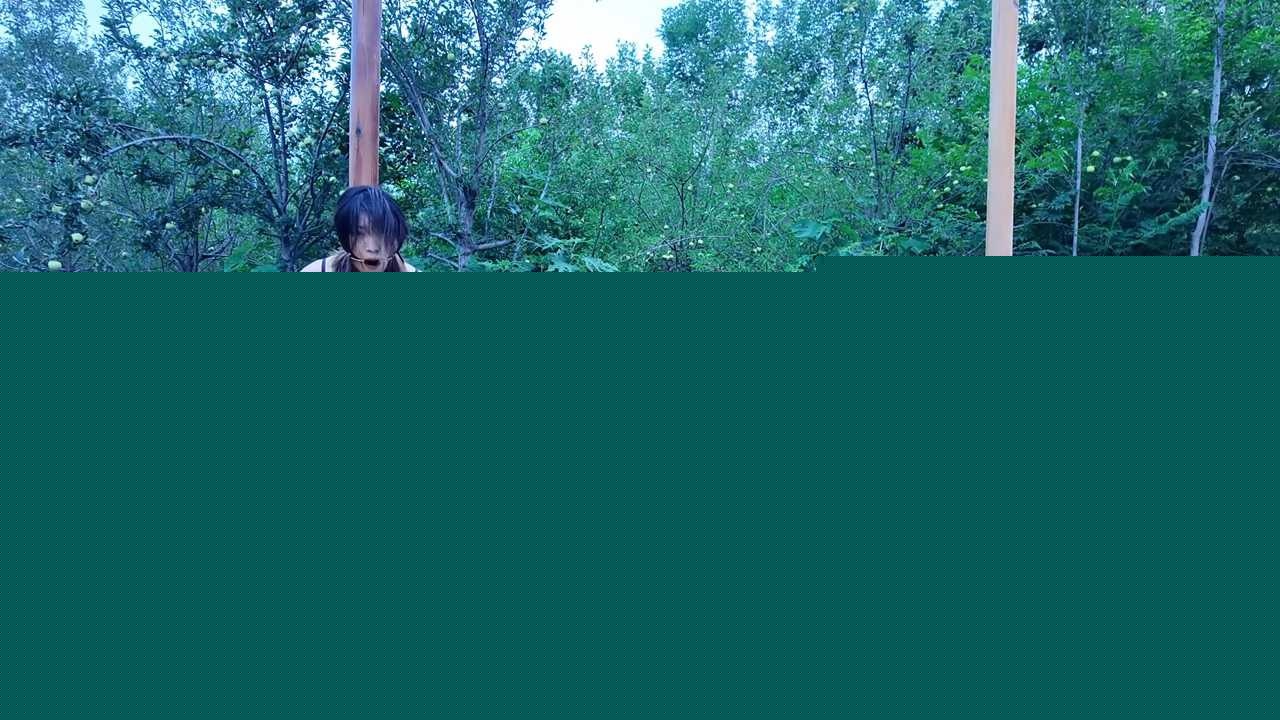 序列 427.00045606.Still002 序列 427.00045606.Still002