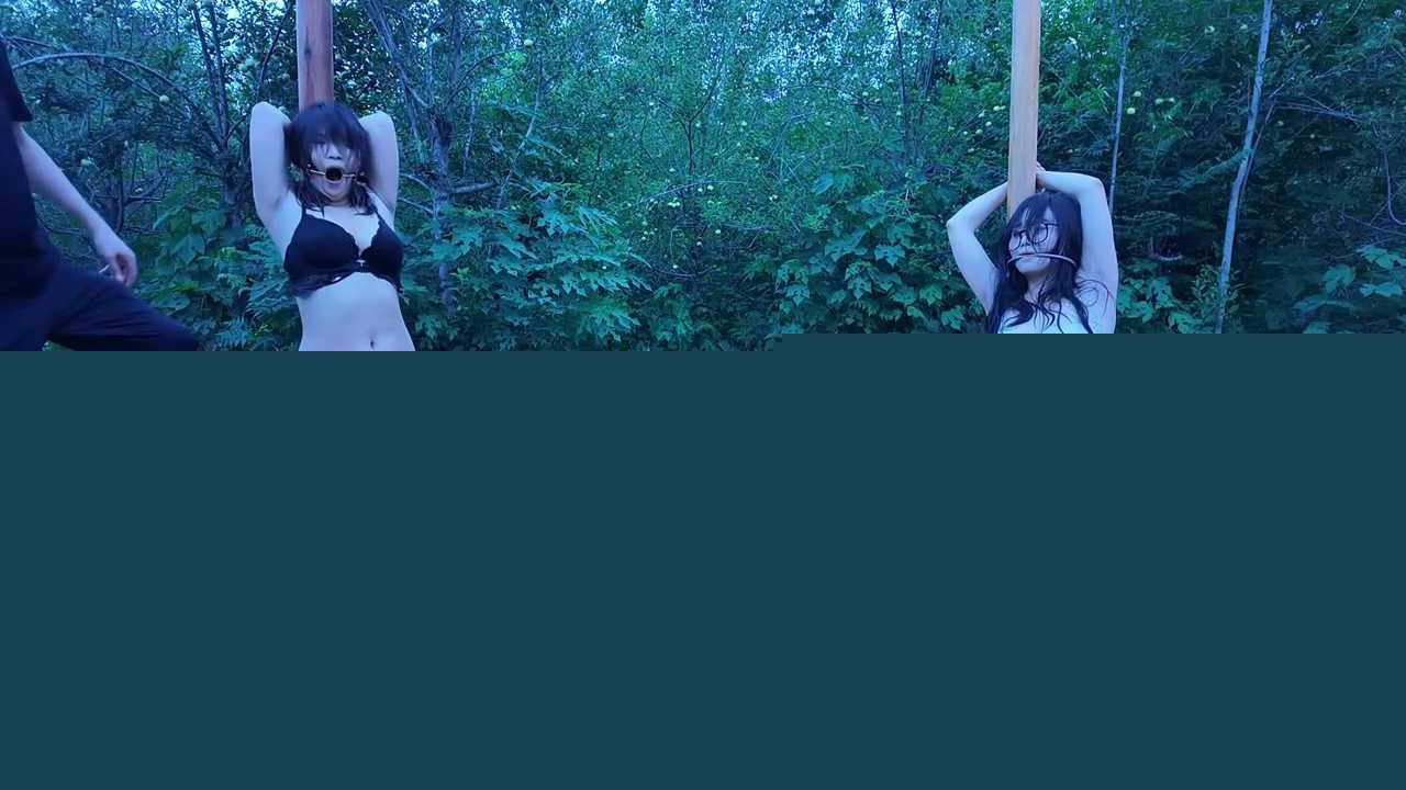 序列 427.00142304.Still006 序列 427.00142304.Still006