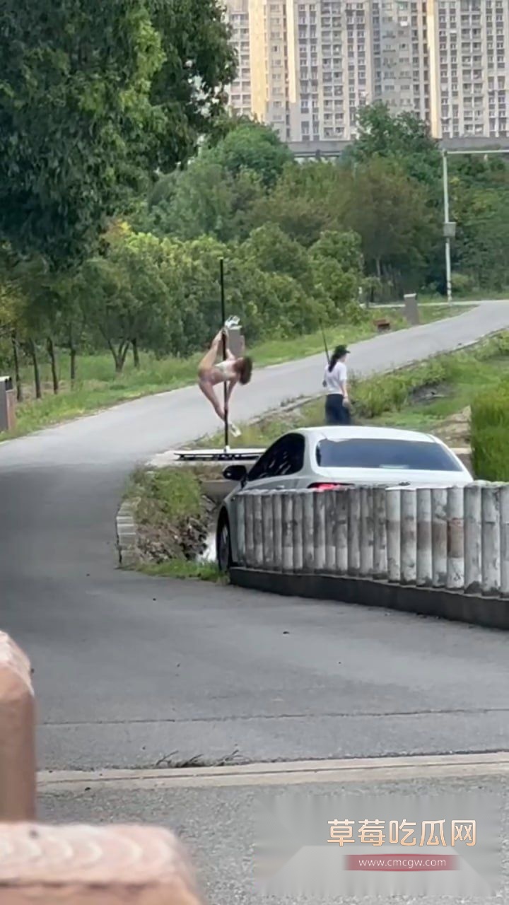 钢管舞女神户外开秀4