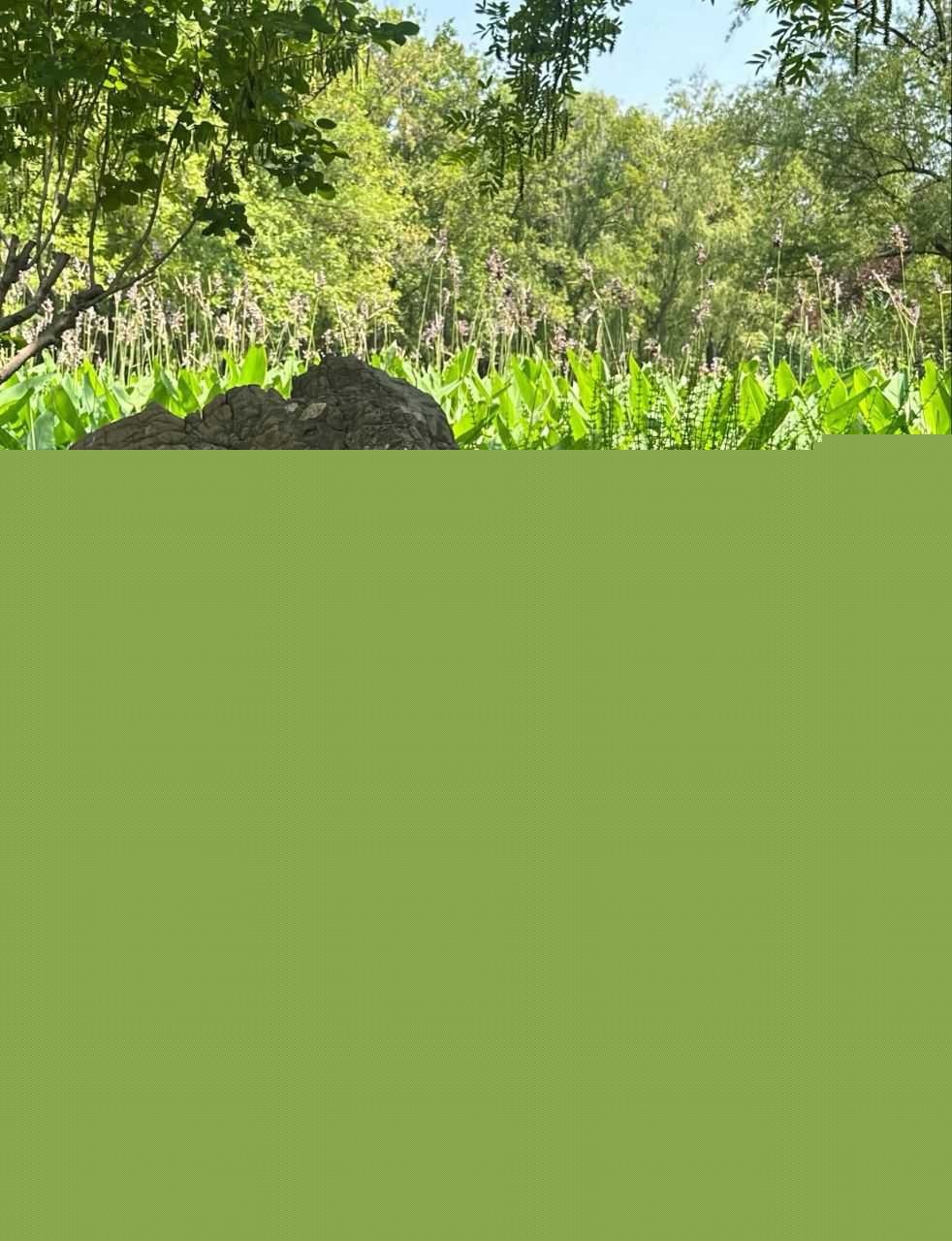 河北承德医院小护士李光慧5