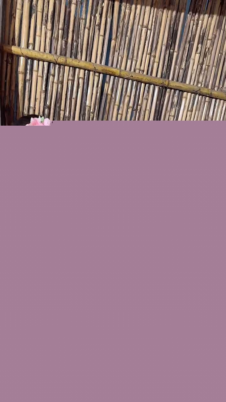 序列 414.00013519.Still003