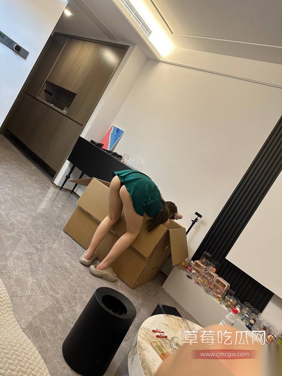 精液收集者 10 精液收集者 10