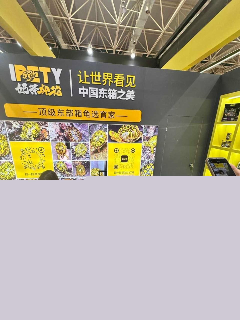 广东顺德世界名龟展3