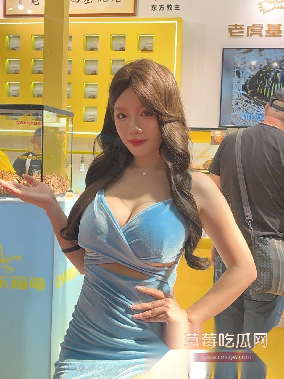 广东顺德世界名龟展5