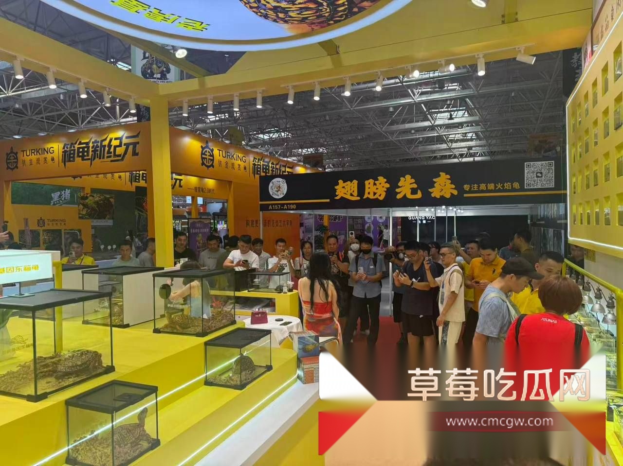广东顺德世界名龟展6