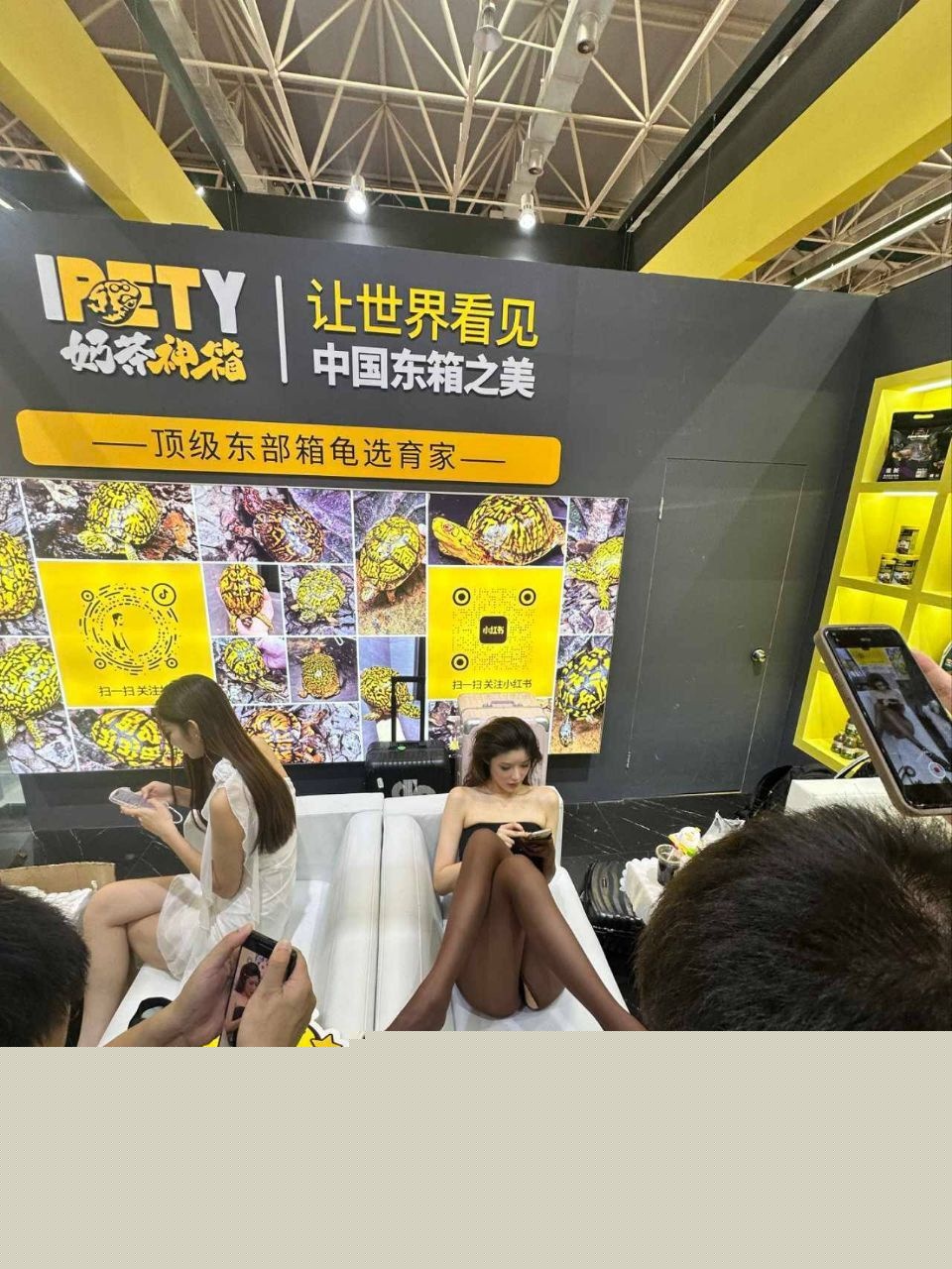 广东顺德世界名龟展11