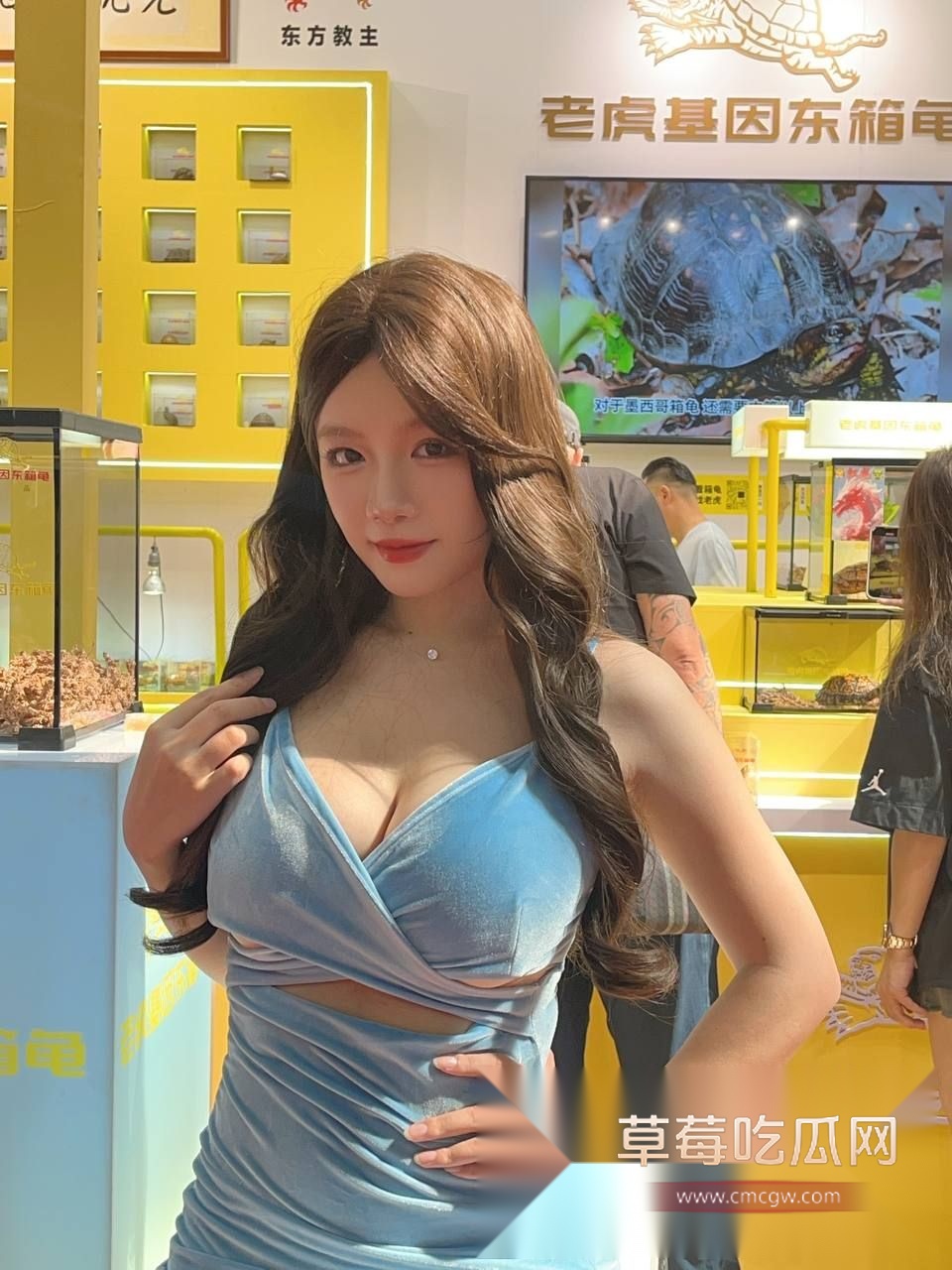 广东顺德世界名龟展13