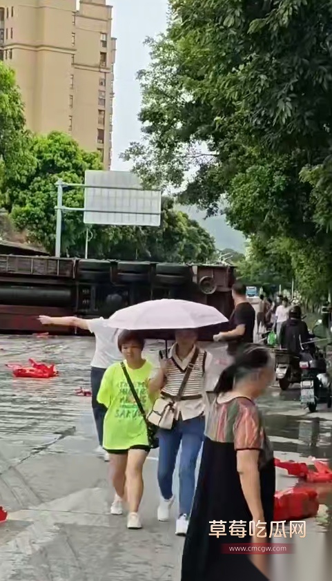 Snipaste20250922200058 Snipaste20250922200058