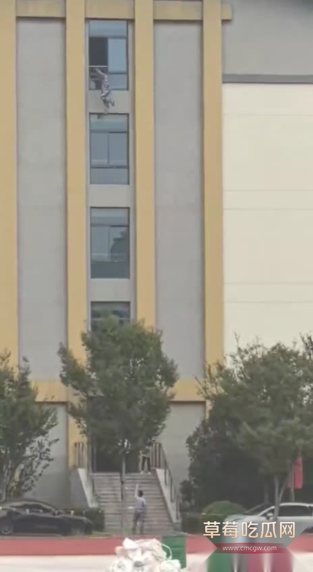 IMG28530001 IMG28530001