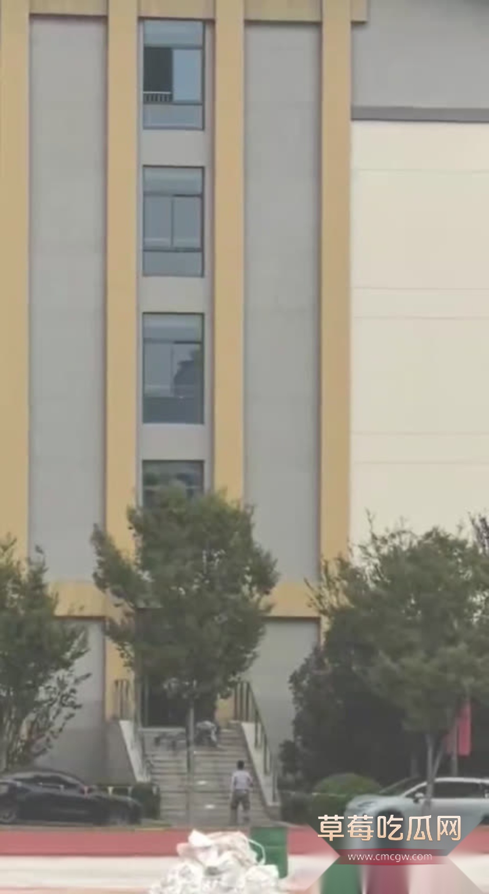 IMG28530003 IMG28530003