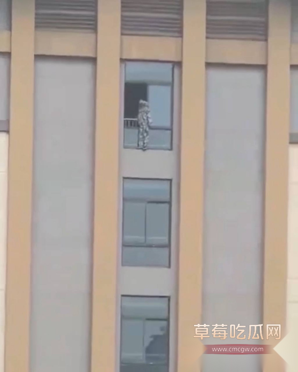 photo620250921183925 photo620250921183925