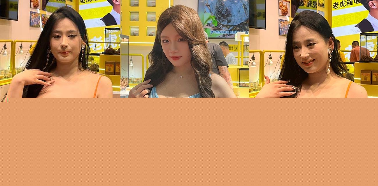 世界名龟展.jpg 世界名龟展.jpg