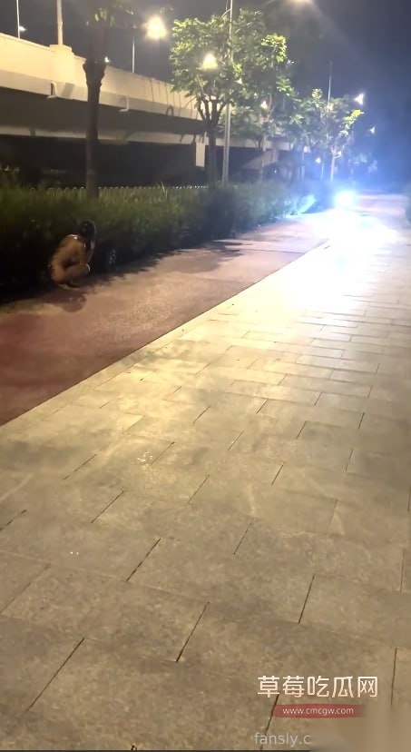 photo520250922114924 photo520250922114924