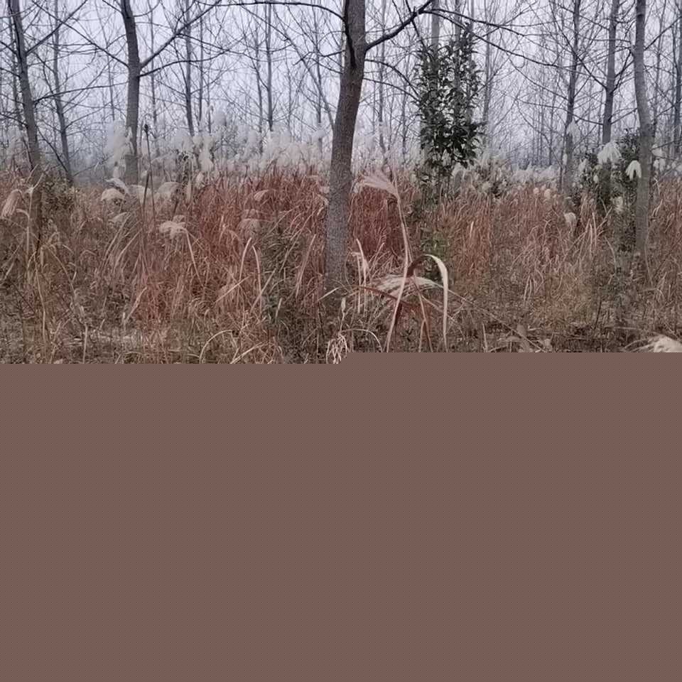 photo120250923192943 photo120250923192943