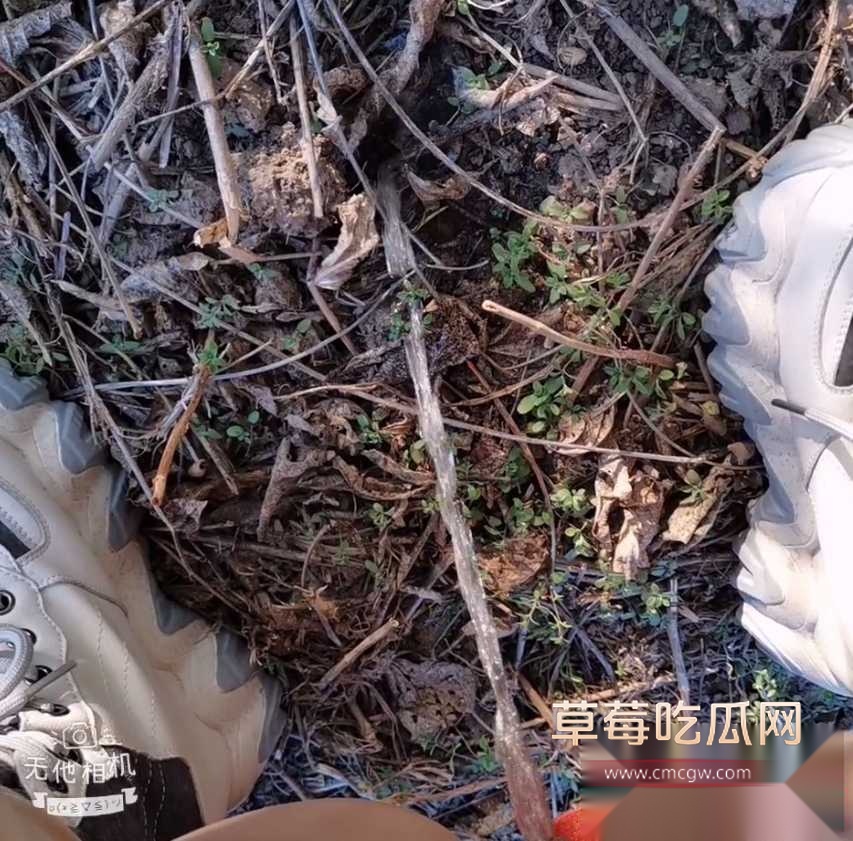 Snipaste20250923193314 Snipaste20250923193314