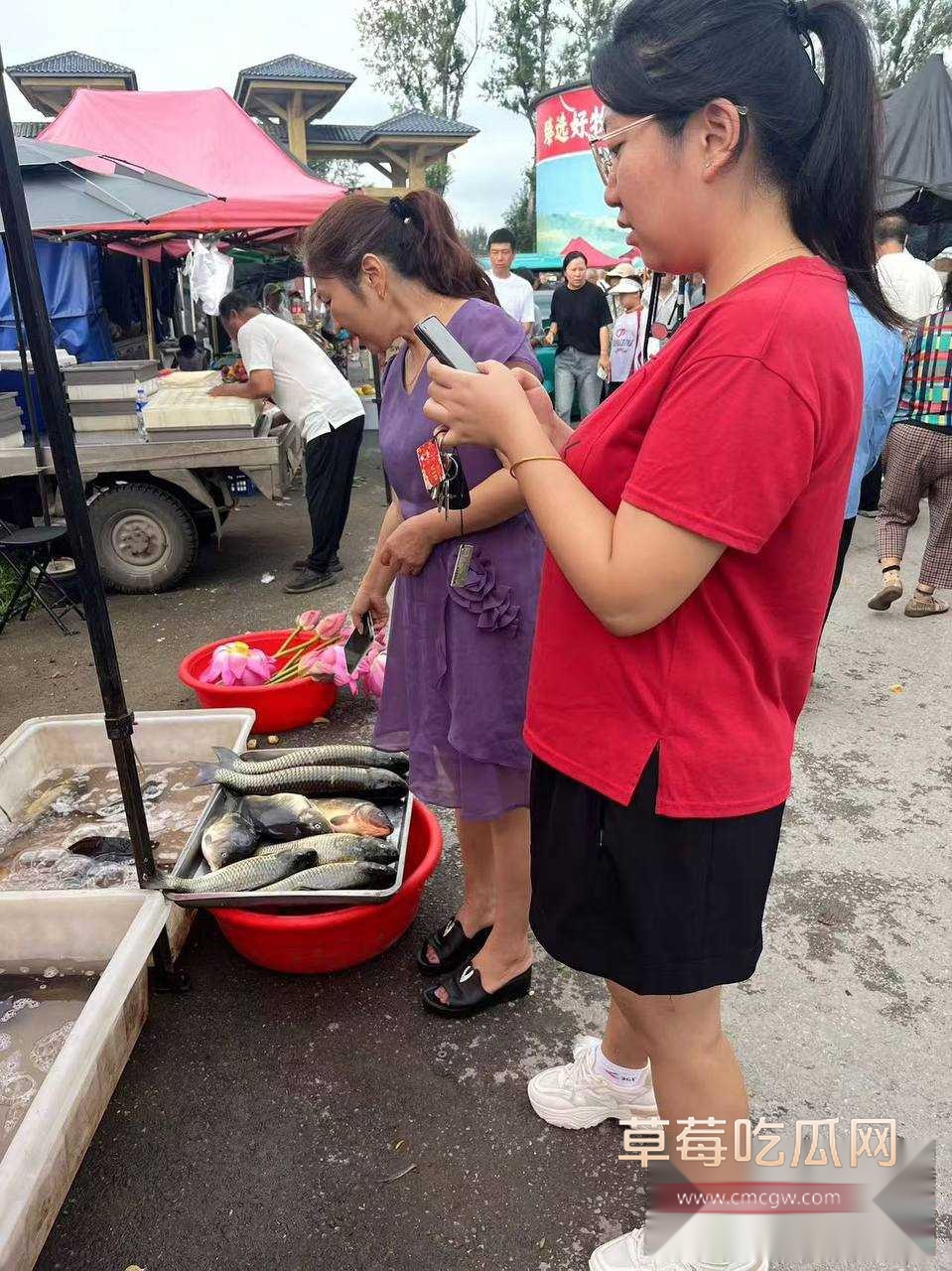 photo620250923172606 photo620250923172606