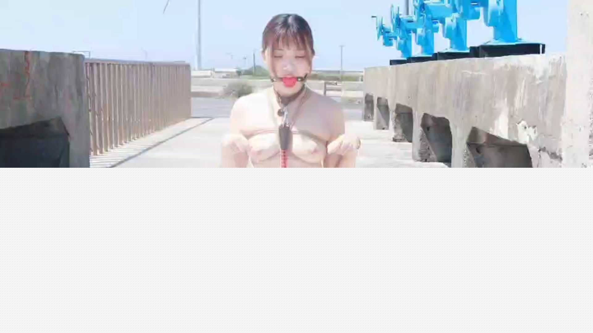 极品小母狗露出婊 11 极品小母狗露出婊 11