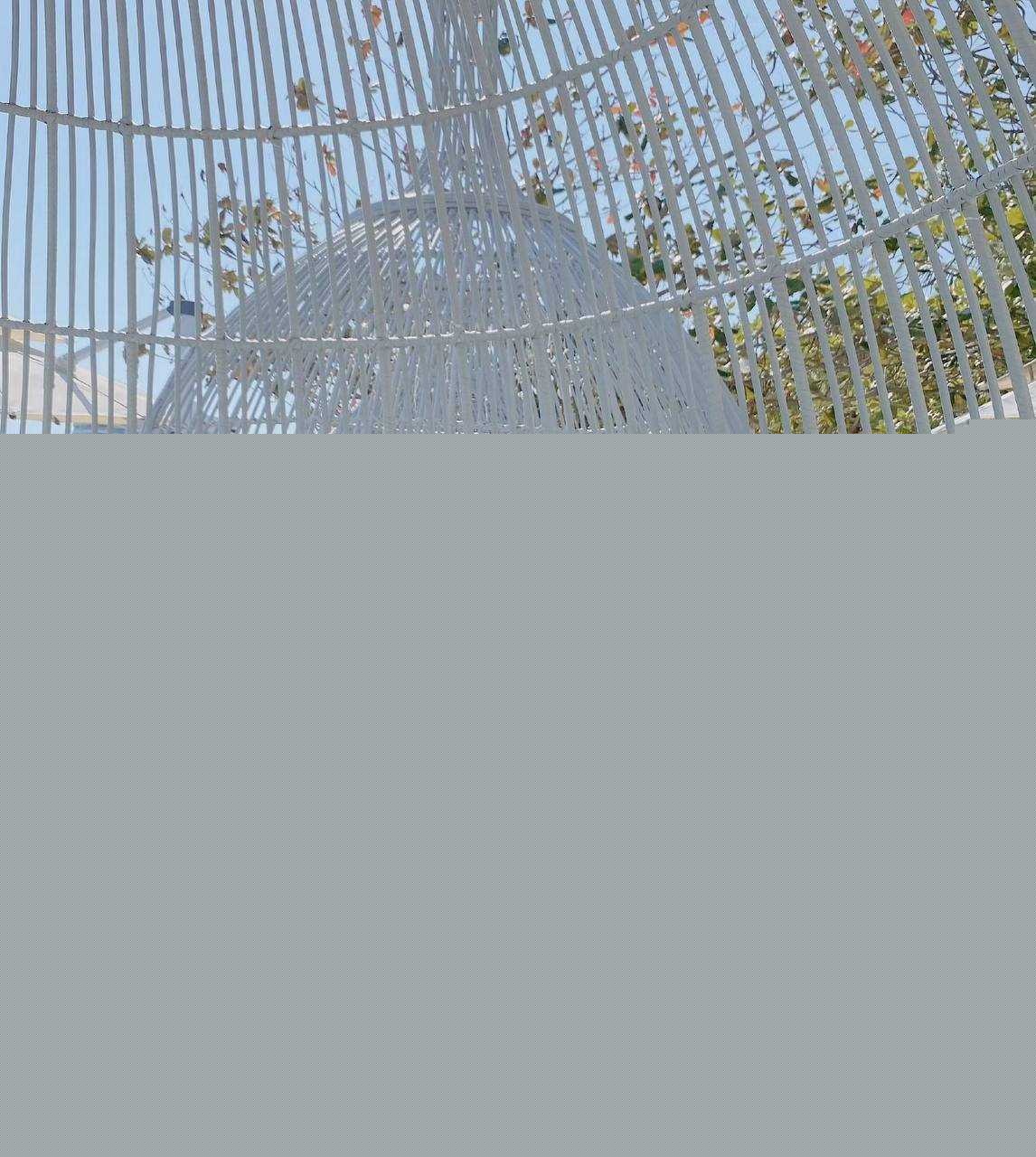 网红李天佑与崔阿扎结婚两人黑料 47 网红李天佑与崔阿扎结婚两人黑料 47