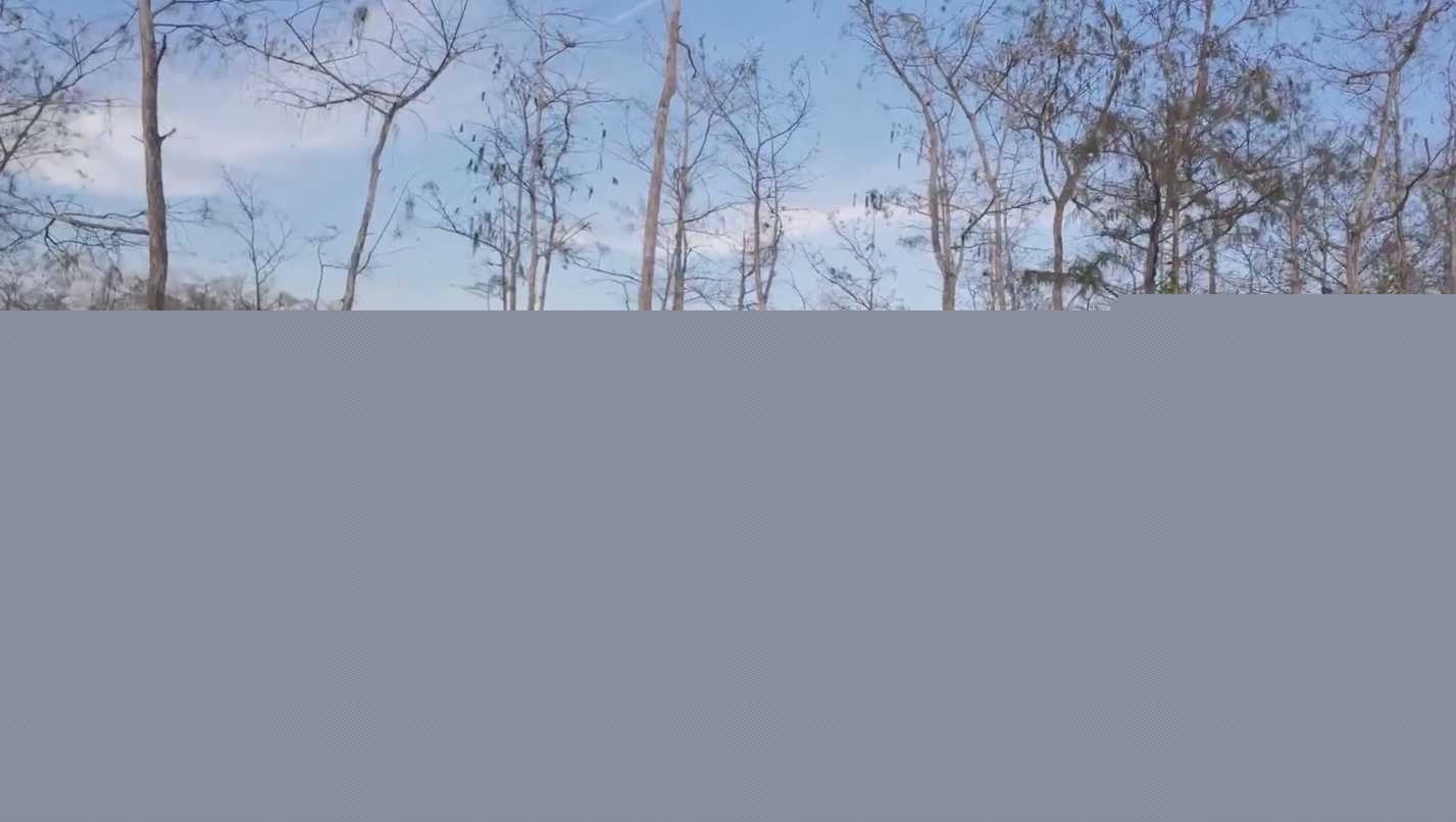 Snipaste20250924171122 Snipaste20250924171122