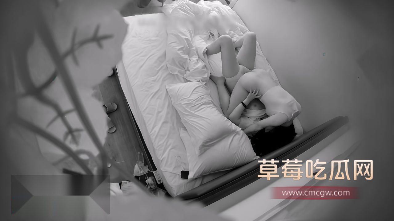 酒店摄像头偷拍4 酒店摄像头偷拍4