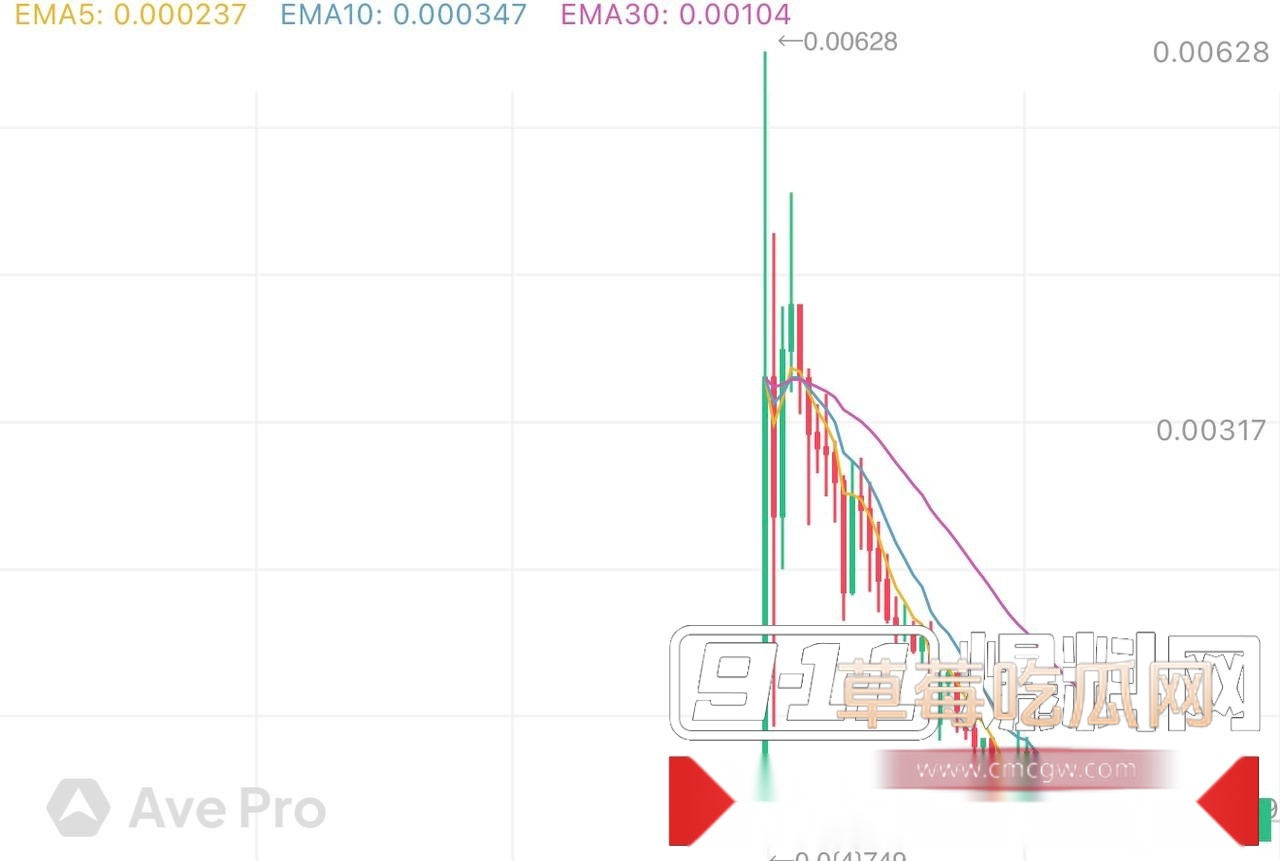 台湾花莲某KOL Nancy 6