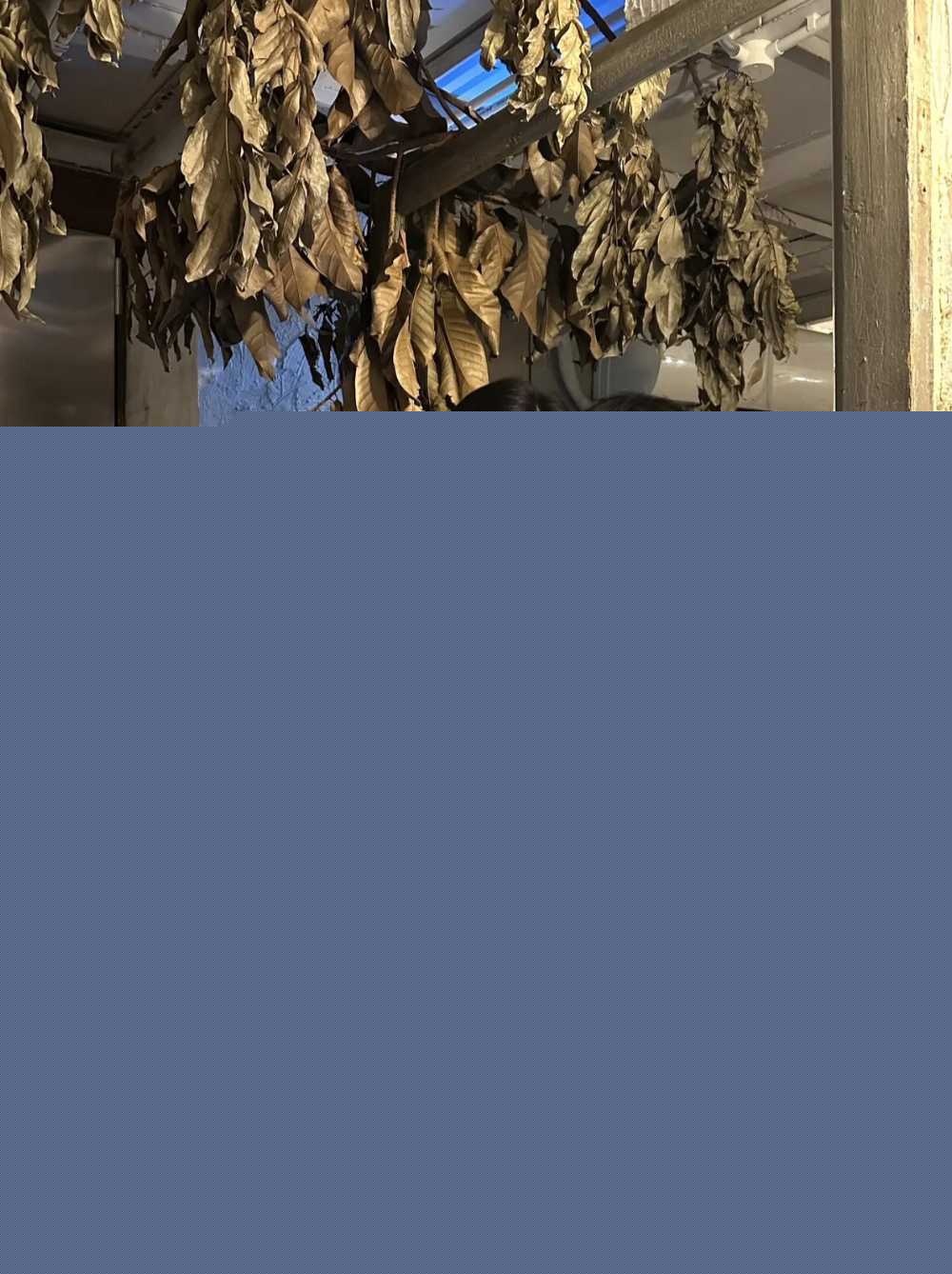 截屏20250929 16.54.21 截屏20250929 16.54.21