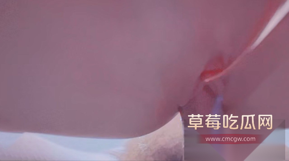 photo420250929153156 photo420250929153156