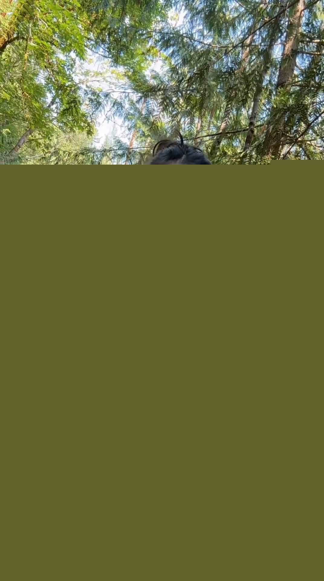 人气女神汐梦瑶10月最新作品4