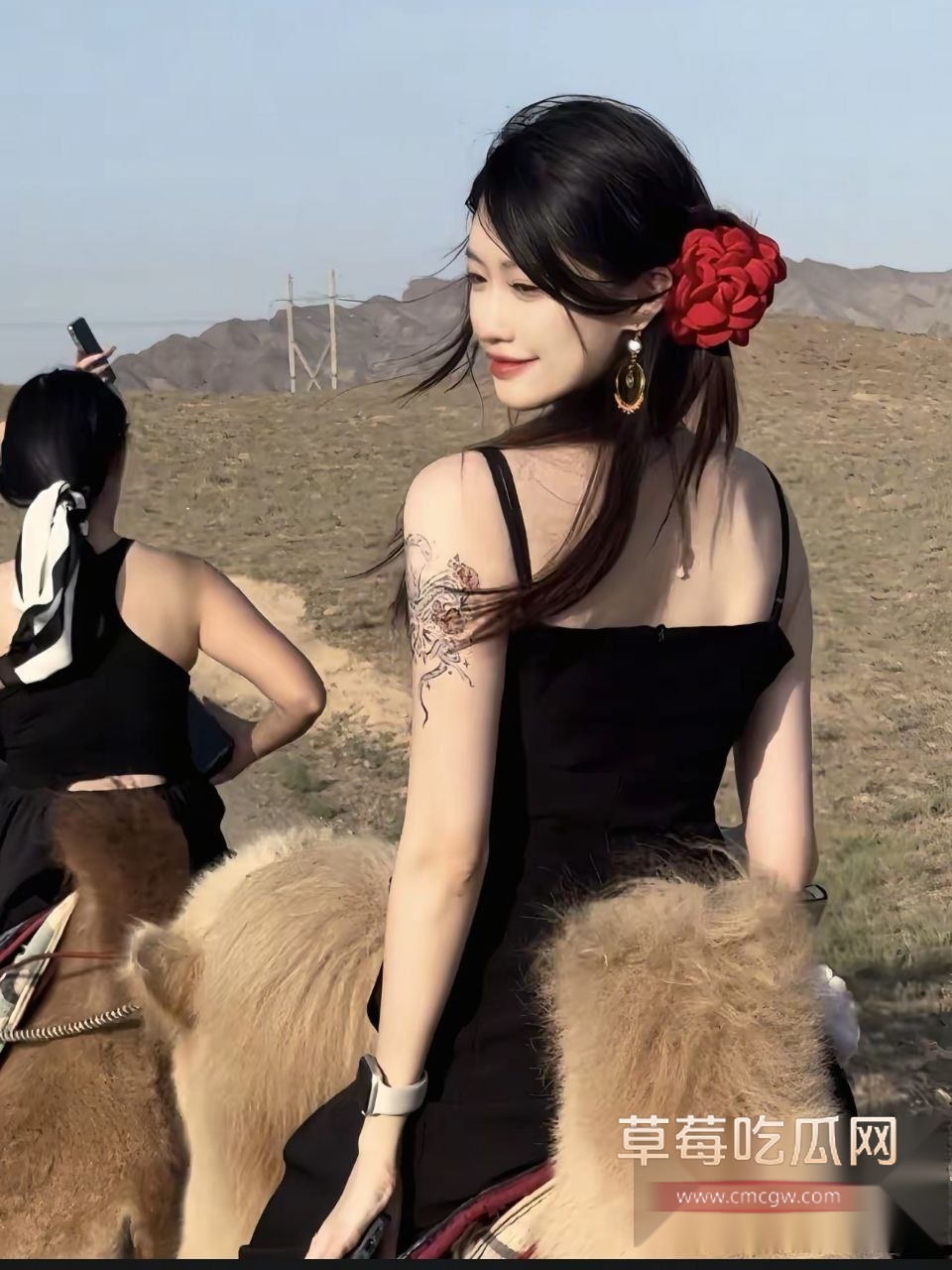 photo120251004194229 photo120251004194229