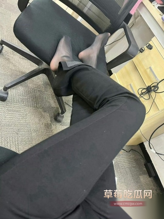 photo520251004183610 photo520251004183610