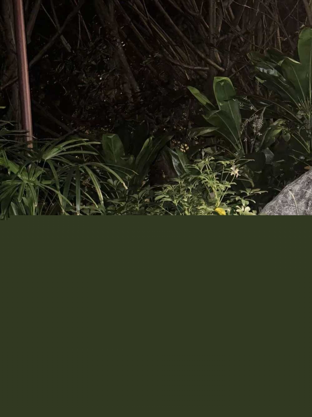 photo220251004182753