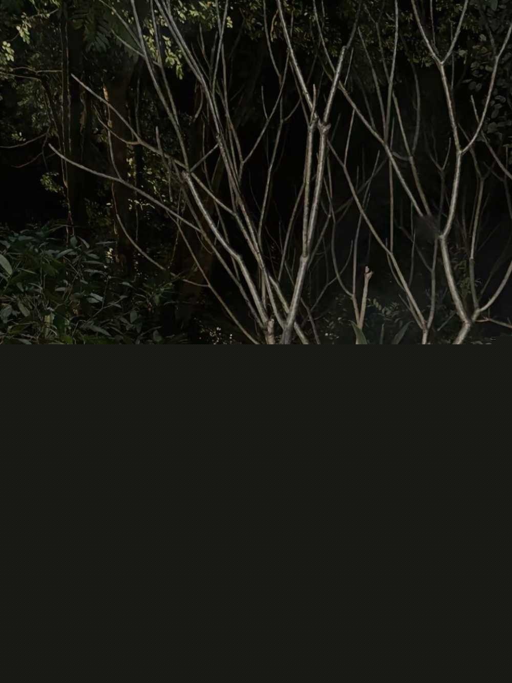 photo1020251004182745