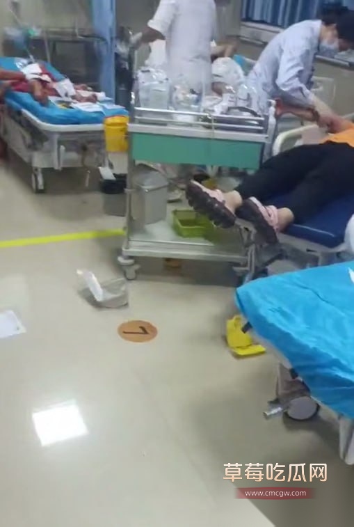 photo120251007150735