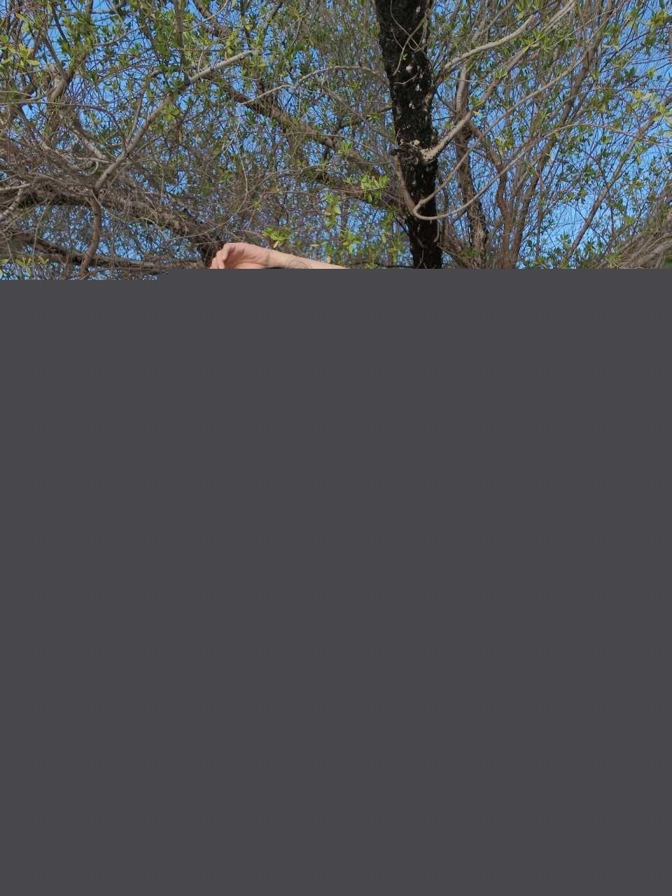 波酱私房摄影 23