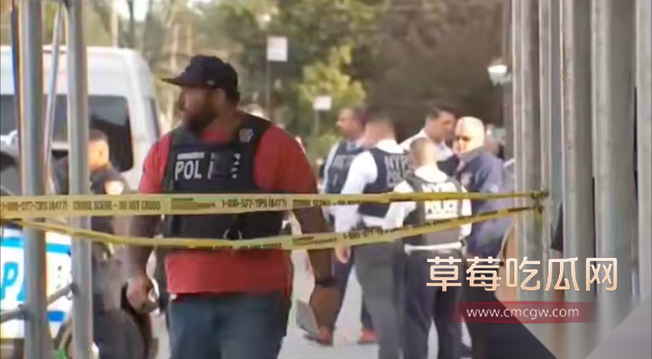 美国纽约华人区杀人纵火案 10
