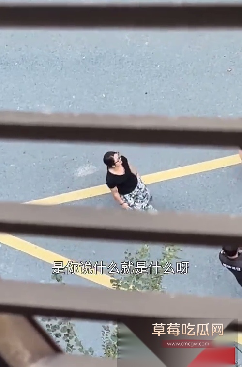 Snipaste20251009162105