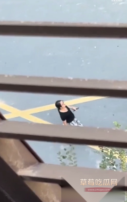 Snipaste20251009162112