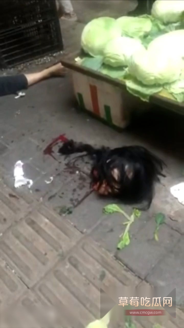 重庆大堰二村砍头事件7 重庆大堰二村砍头事件7