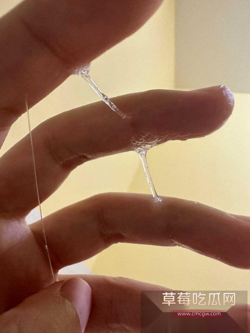 photo1220251011163556