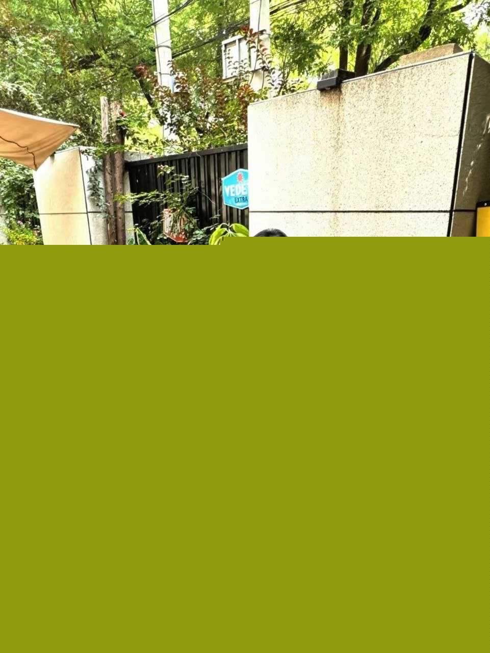 photo420251011161402