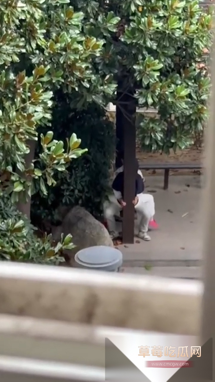 序列 707.00002423.Still005