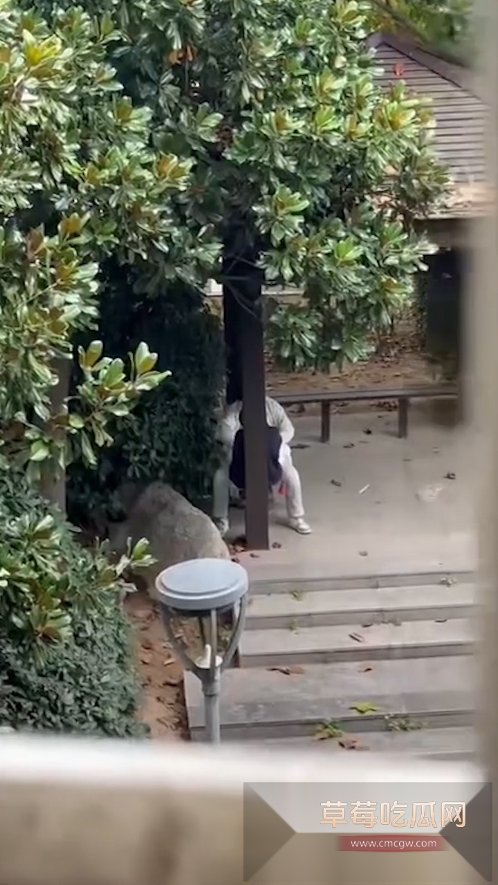 序列 707.00015421.Still002