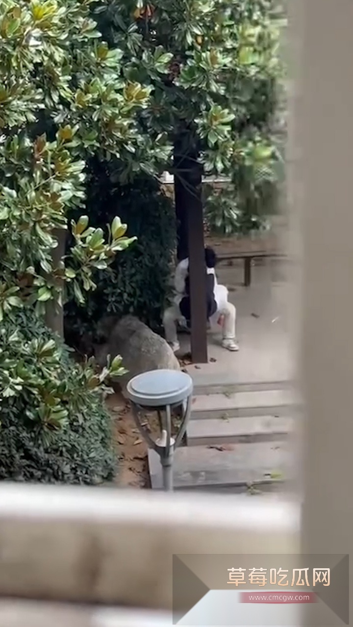 序列 707.00020201.Still001