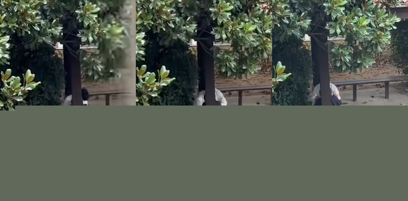 小情侣.jpg 小情侣.jpg